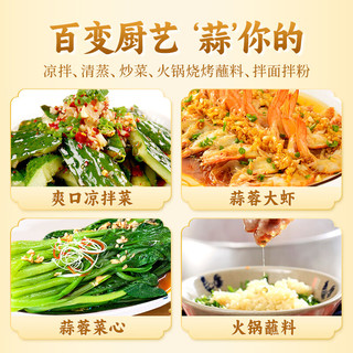 仲景 蒜蓉酱 蒜香小龙虾生蚝扇贝蒜蓉烧烤火锅烤肉蘸料凉拌菜蒜泥酱 蒜蓉x2瓶