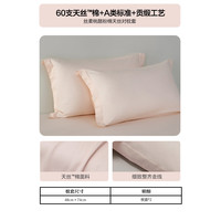 水星家纺枕套60支兰精天丝™棉凉感枕头套A类一对装枕头罩双人家用48x74cm 粉