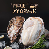 生蚝小镇【礼盒】大连生蚝刺身级生蚝鲜活生蚝海鲜海蛎子6只装水产 XXXL