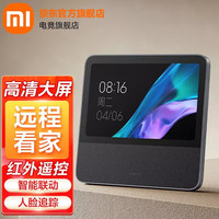 小米 Xiaomi 庭屏 10