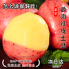 成芸至臻 云南红皮土豆 5斤