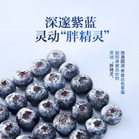 梦芷 云南花香蓝莓 贡品级大果 15-18mm 12盒 100-125g/盒