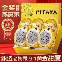 椰箩 当季现摘燕窝果礼盒海南广西麒麟果黄金火龙果果 中果五斤礼盒