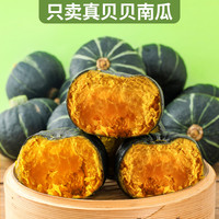 贝贝南瓜板栗味小南瓜新鲜老南瓜粉婴儿惠和一号贝贝瓜