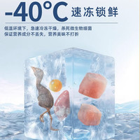 比洛惜 BILOXI宠物冻干桶零食狗狗零食鸡肉粒鸭胸肉宠物猫咪奖励训练零食 500g鸡肉桶