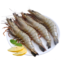 尚致越南黑虎虾冷冻生鲜竹节虾活冻海虾斑节虾海捕大虾类 (净重) /盒