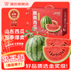 蒲恋 麒麟西瓜新鲜水果当季现摘8424脆甜多汁整箱 净重9-10斤丨独立气泡柱/土豪装