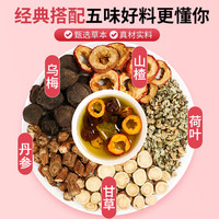 养益君酸梅汤500g（10大袋）山楂甘草荷叶丹参乌梅汤儿童夏季消暑饮品