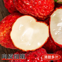 京地达广东增城仙进奉荔枝 净重单果22g新鲜荔枝源头直发包邮
