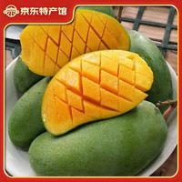 广供天下 大青芒 5斤 大果