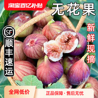 福月安 顺丰 紫皮无花果新鲜水果爆甜当季特级大果青红皮孕妇甜果树上熟