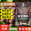 京喜 陶粒垫底盆栽多肉营养土 20L 彩色铺面石