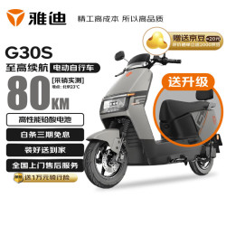 雅迪 新国标电动自行车G30S智能长续航电动车大座垫铅酸电瓶车通勤代步可上牌索罗灰