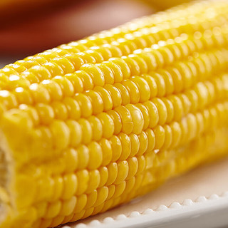 树悦 云南水果玉米新鲜甜玉米现摘玉米棒生鲜蔬菜可生吃火锅食材 4.5-5斤新鲜采摘 自有农场