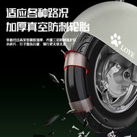 宝岛元宇宙电动车男女小型新国标电动自行车亲子长续航电瓶车 48V 20Ah