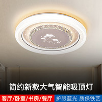 主卧室灯2024年led吸顶灯主卧次卧餐厅灯现代简约灯