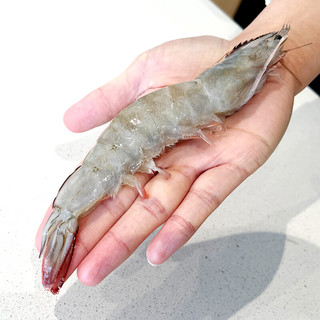  鲜京采 特大号 厄瓜多尔白虾  特大号20-30规格 30-45只/盒 1.5kg/盒 3斤/盒