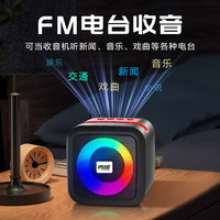 雷摄 蓝牙音响2025新款高音质低音炮家用户外广场舞音乐播放器音箱