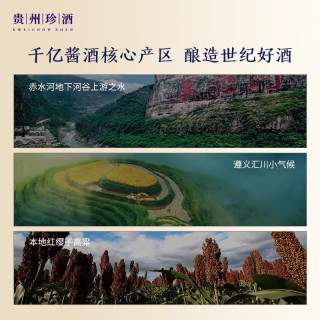  KWEICHOW ZHENJIU/珍酒 真实年份 酱香型白酒  包装 53度