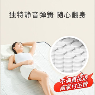  善臣 零压记忆棉 床垫