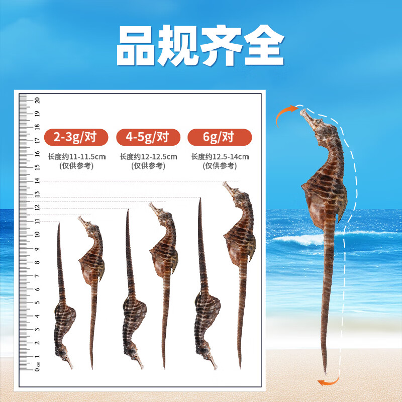 华瑞天丞膨腹海马干货一公一母配对男士滋补炖汤泡酒煲汤料