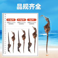 华瑞天丞膨腹海马干货一公一母配对男士滋补炖汤泡酒煲汤料
