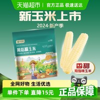 华田禾邦 新玉米 云南儿童拇指玉米1kg香糯小玉米早餐