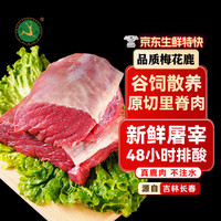 世鹿 梅花鹿肉后腿肉生鲜 带皮排骨 里脊肉 腱子肉 东北新鲜现杀 梅花鹿里脊-净重5斤