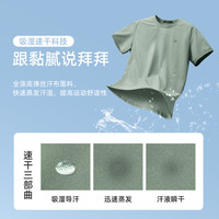 CAMEL骆驼短袖男2025夏速干t恤纯色透气款运动休闲体T恤 M13BZ00103B5 灰色 XL