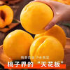 萧鲜生 正宗山东蒙阴黄桃2.5斤（4-8个）