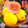 京觅 陕西黄河蜜瓜 4.5-5斤 单果500g 脆甜爽口 新鲜应季水果