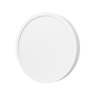 小米 Xiaomi 米家吸顶灯D20 LED灯 颜色分类：米家吸顶灯D20