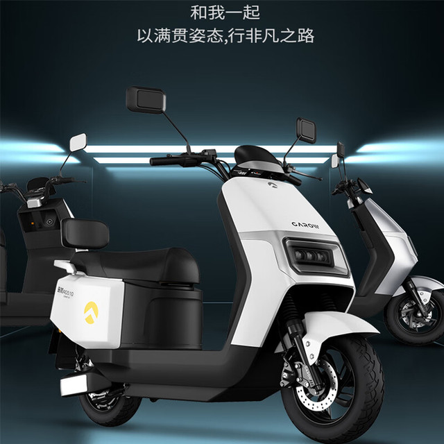 金箭 电动摩托车 王者510高配代步版：月牙白 72V37Ah
