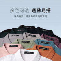 七匹狼短袖t恤抗菌凉感男夏保罗衫男士POLO衫翻领男装多彩时尚百搭上衣 103(灰蓝)1D1D30606137 3XL 185/100A