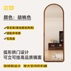 SAMEDREAM 全身镜家用落地镜简约高清穿衣镜挂墙壁挂女生卧室大试衣镜子