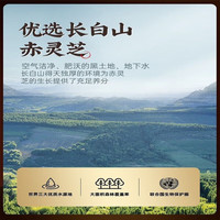 敖东破壁灵芝孢子粉2.0g/袋*30袋/盒破壁易吸收增强免疫力 一盒装
