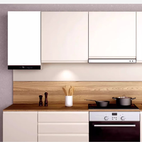 菲斯曼 VIESSMANN 壁挂炉冷凝燃气采暖热水炉 两用式 一级能效 LL1GBQ24-B1JG