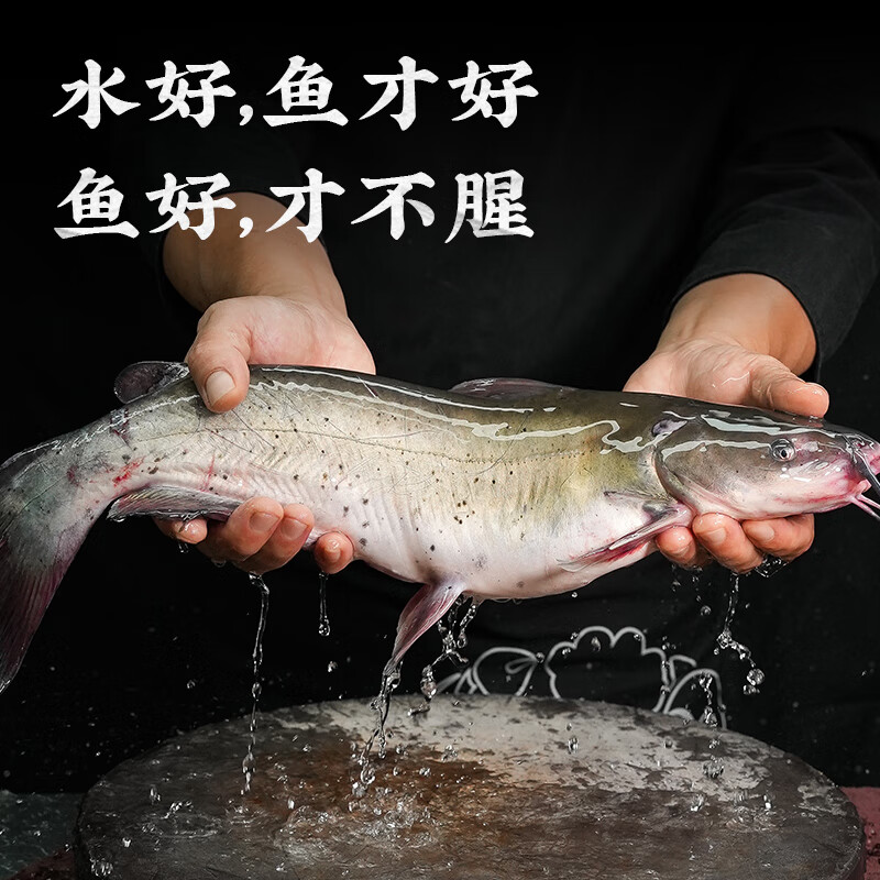 信良记烤鱼 鮰鱼香辣烤鱼清江烤鱼快手菜方便聚会夜宵 酱香烤鱼