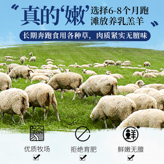 甘肃滩羊整扇半只羊10斤羊肉新鲜羊肉羊腿羊排火锅食材礼盒