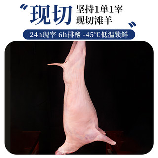 甘肃滩羊整扇半只羊10斤羊肉新鲜羊肉羊腿羊排火锅食材礼盒