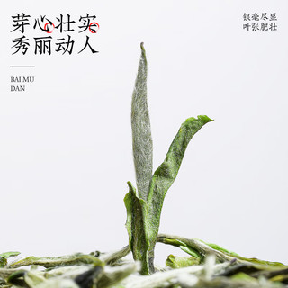春秋农哥白牡丹白茶特级2025新茶福鼎白茶散茶花香明前嫩芽茶叶自己喝 【白牡丹嫩芽尝鲜装】 *1罐