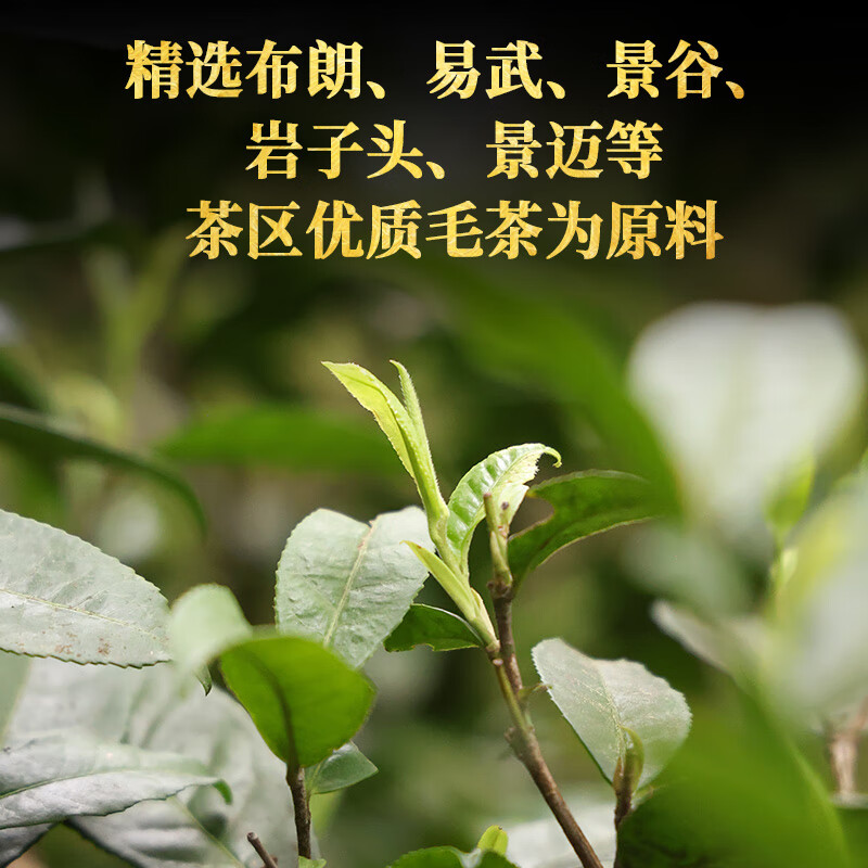 下关沱茶2025年 金印 苍洱金饼 357克 普洱生茶 蜜糖香馥郁高扬