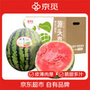京觅 陕西甘美西瓜4k西瓜 1粒净重7-9斤 薄皮脆甜多汁 端午源头直发