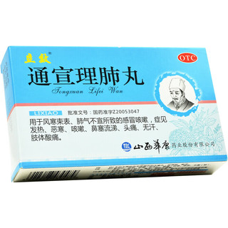 通宣理肺丸 1盒装