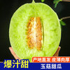 琪江果 山东玉菇甜瓜 7-7.5斤 3-5个