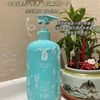 Beaut Army 贝缇雅美 山参滋养韧发洗发露