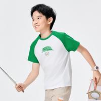 【撞色插肩袖】运动t恤2025男童衣服夏季薄款儿童短袖