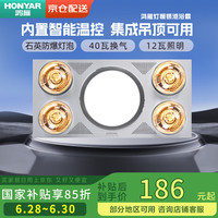 鸿雁 DZHZ11-B02 三合一 灯暖浴霸