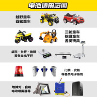超威(CHILWEE) 电池6伏6V4A4.5a7A10AH12伏v7ah儿童电动车遥控玩具汽车蓄电池6v 超威【高端】 锂电12V89.6
