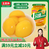 移动端、京东百亿补贴：王员外 沂蒙山黄桃罐头 500g*2瓶 控糖0脂休闲零食